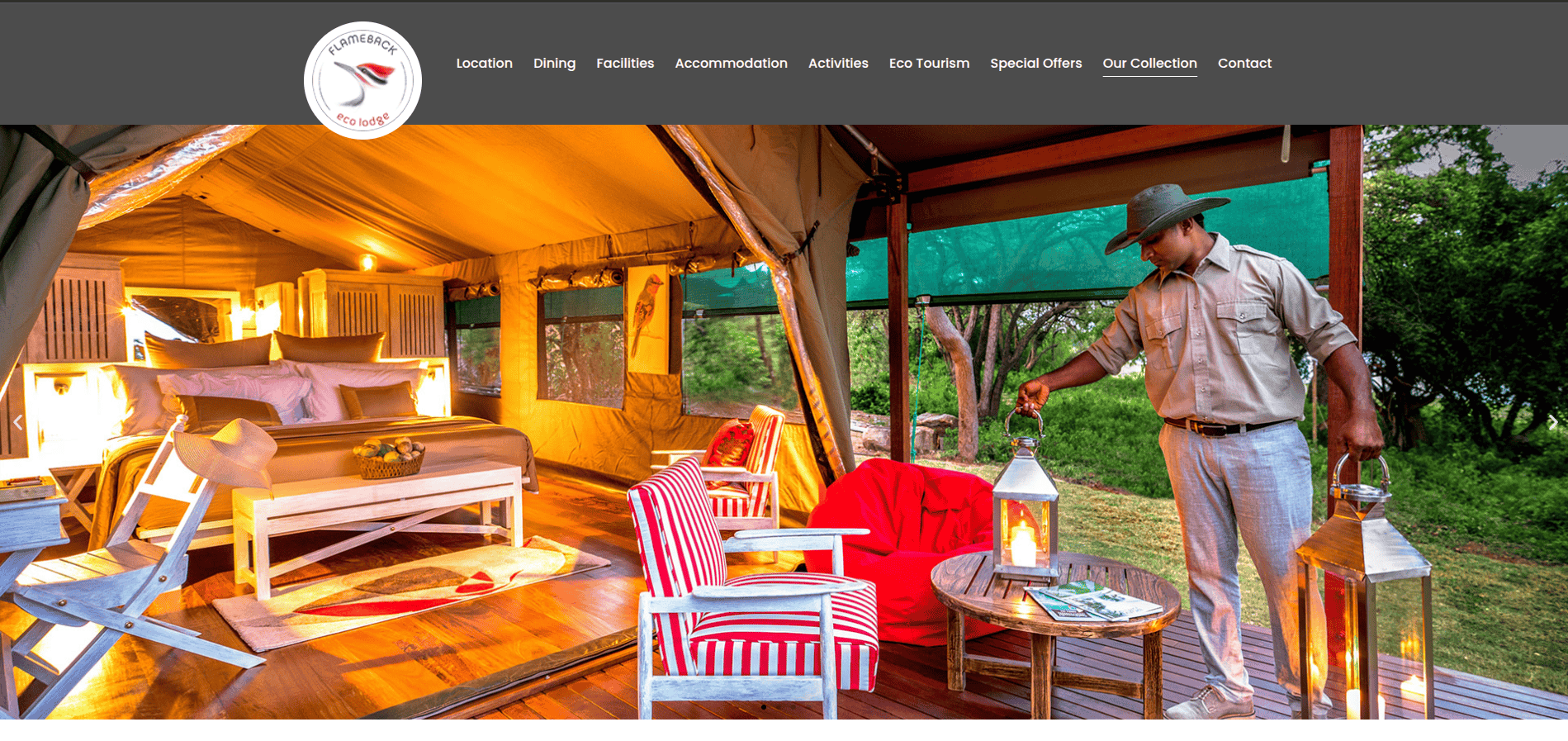 Flameback Eco Lodge - Luxury eco-tourism website
